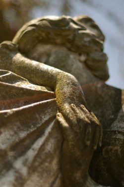 5680143018_4049ded78c